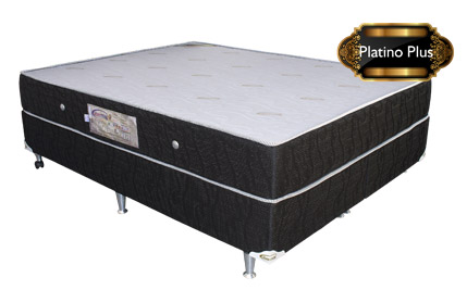 pd_platino_plus