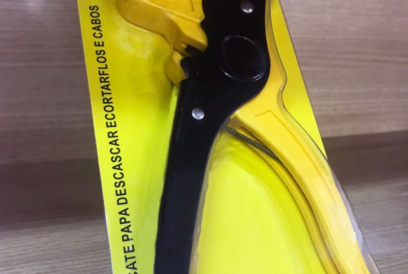 43091031_270410870482460_947794864511465399_n