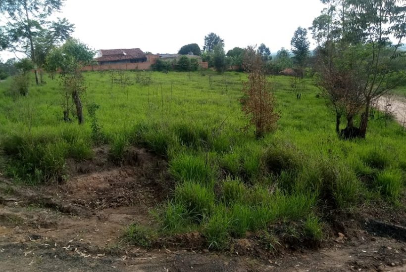 Terrenos em Pardinho 05