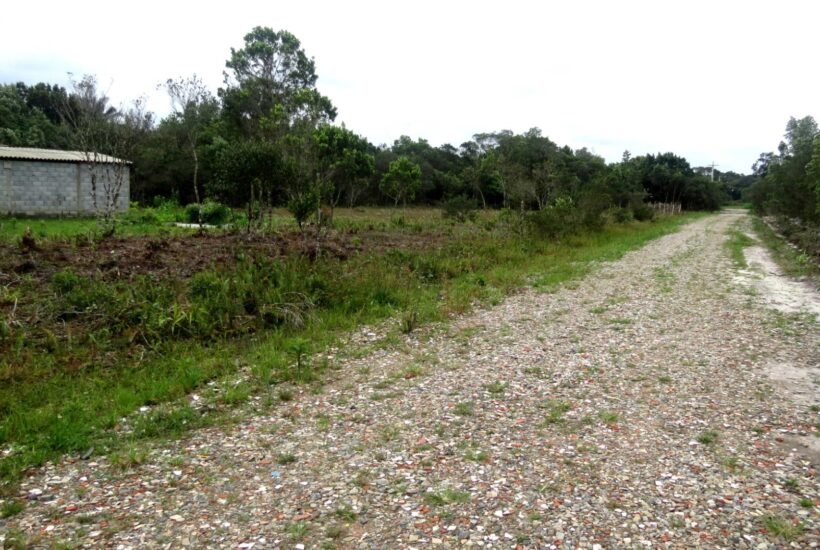 lote 6
